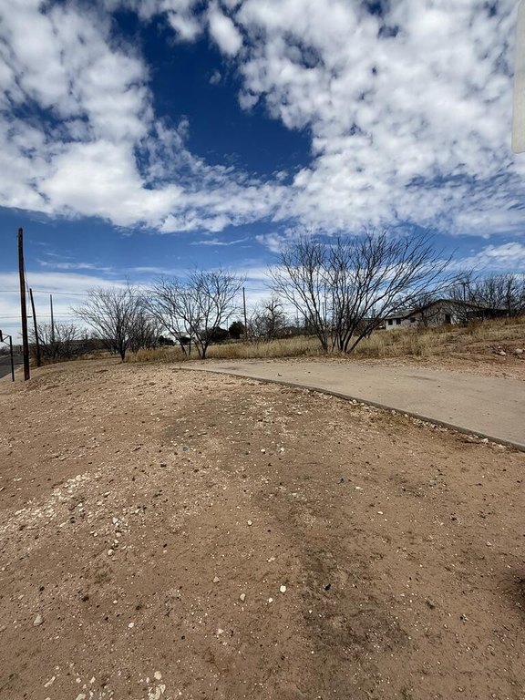 Picture 3