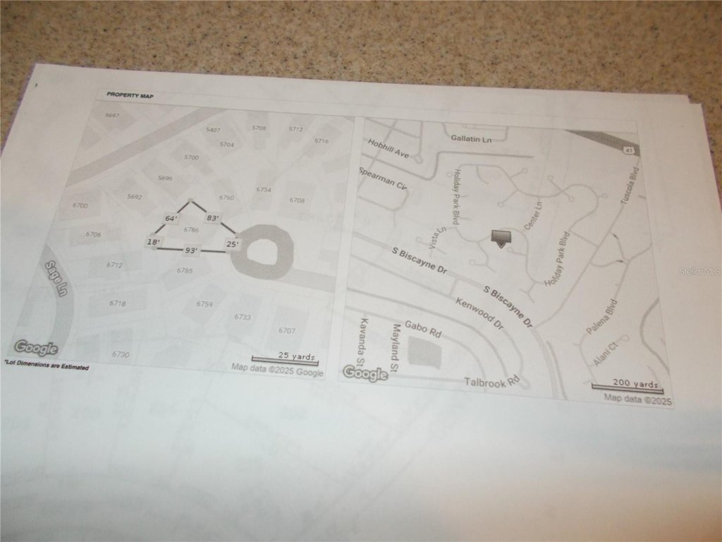 Picture 6