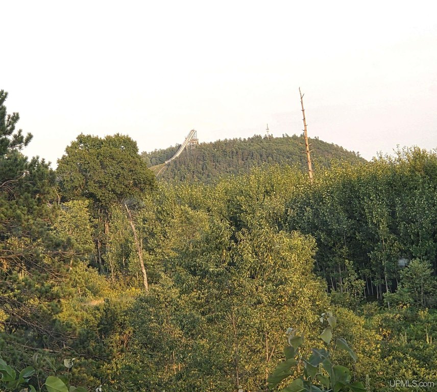 Picture 4