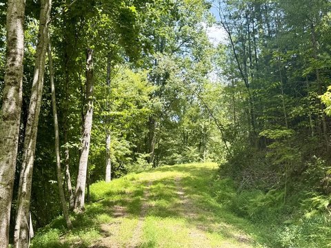 LAND - Brasstown, NC