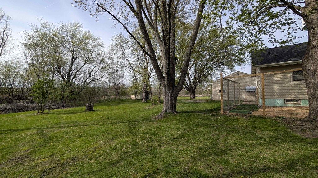 Picture 6