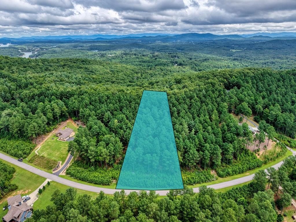 Blairsville Vacant Lot with Amenities