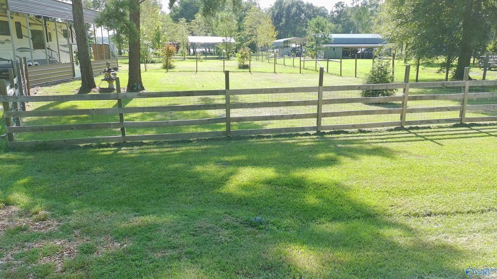 Picture 5