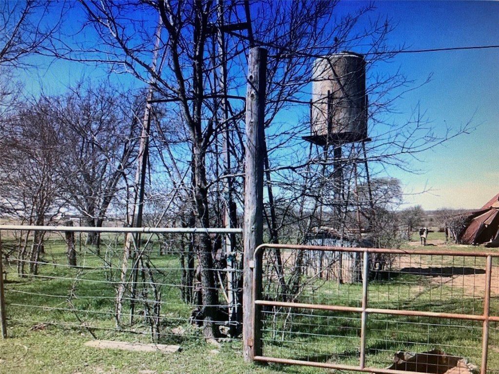 Picture 4