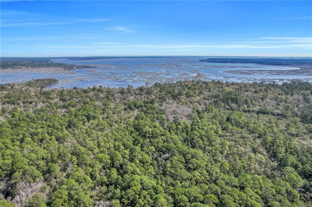Woodbine, GA Land Opportunity