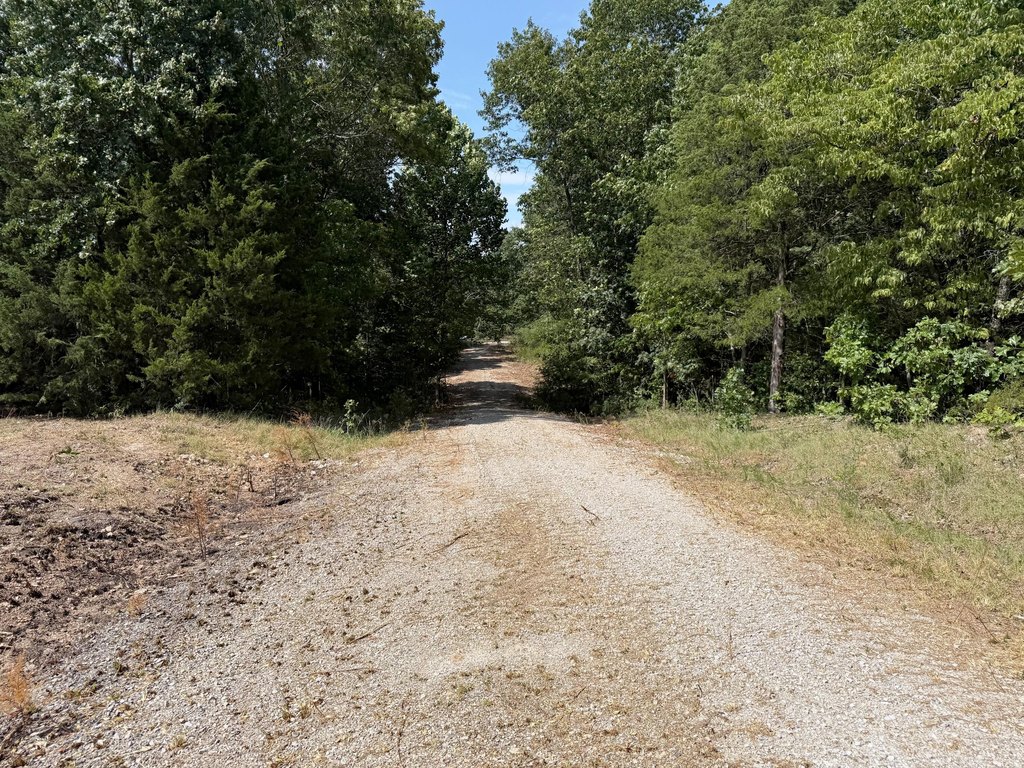 Picture 16
