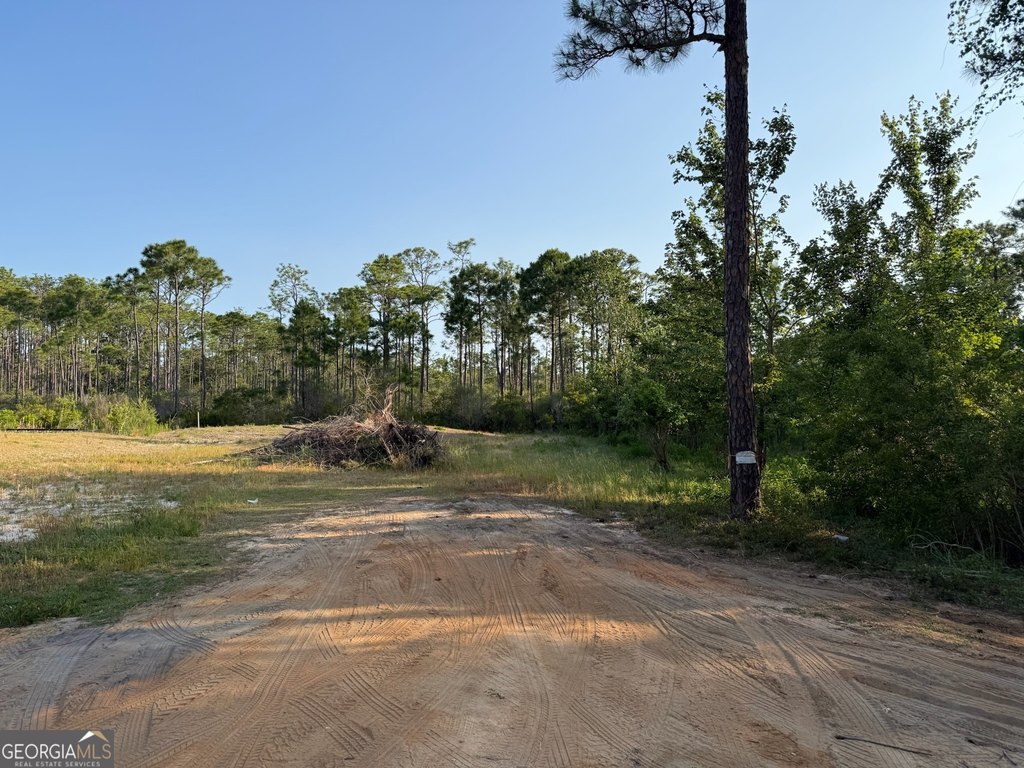 Picture 19