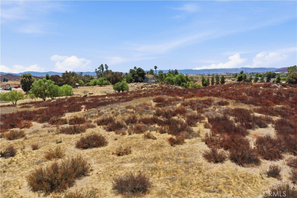 Picture 19