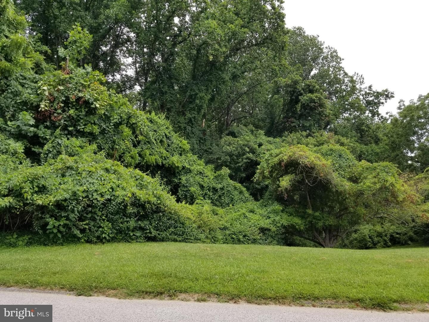 Land Near Middle Patuxent River