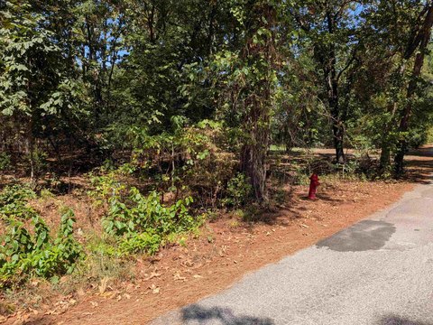 Vacant Land, Cherokee Village, AR