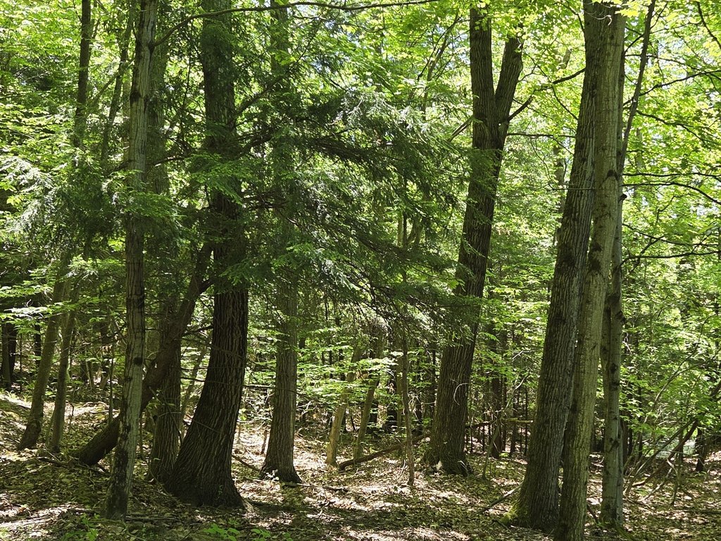 Picture 33