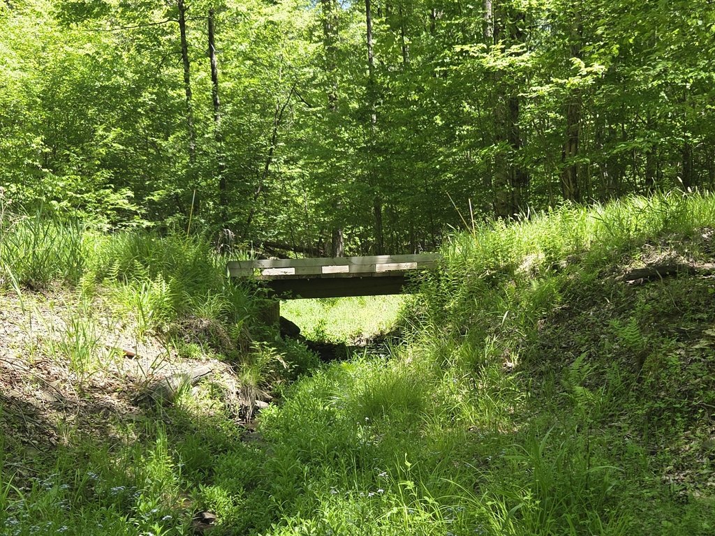 Picture 12