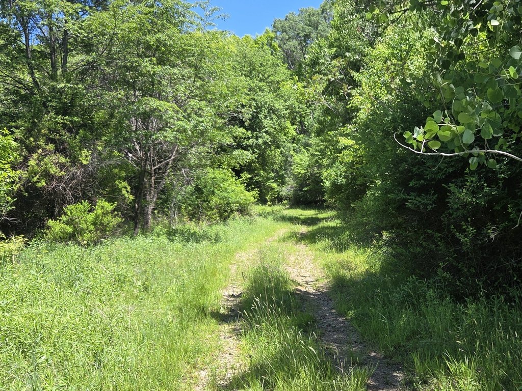Picture 11