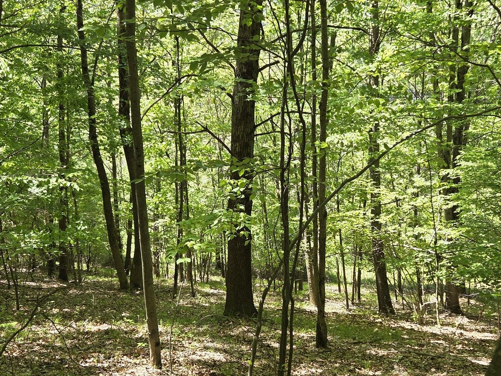 Picture 23