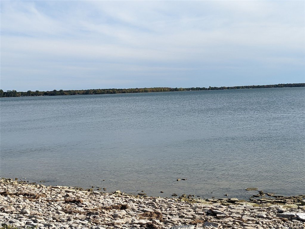 Picture 16