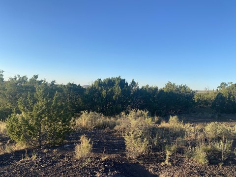 Eagar, AZ Land Parcel
