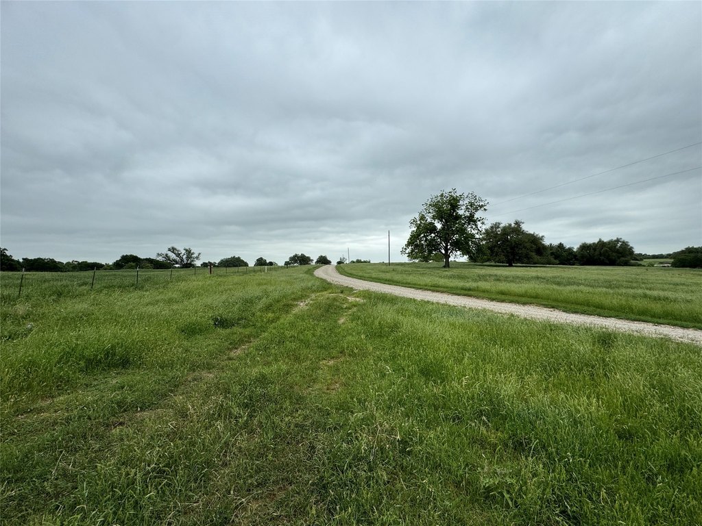 Picture 11