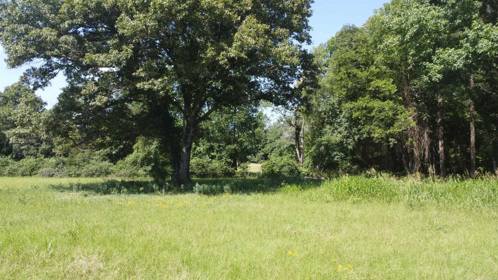 Picture 17
