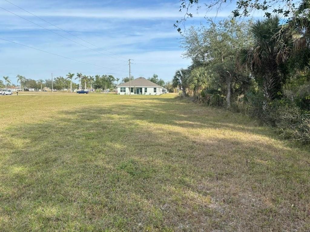 Picture 3