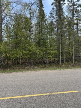 Land Near Mackinaw City Attractions