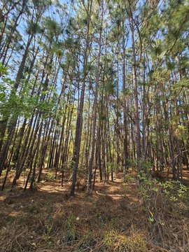 LAND - Aiken, SC