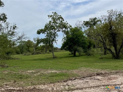 Wooded Acreage Near Victoria, TX