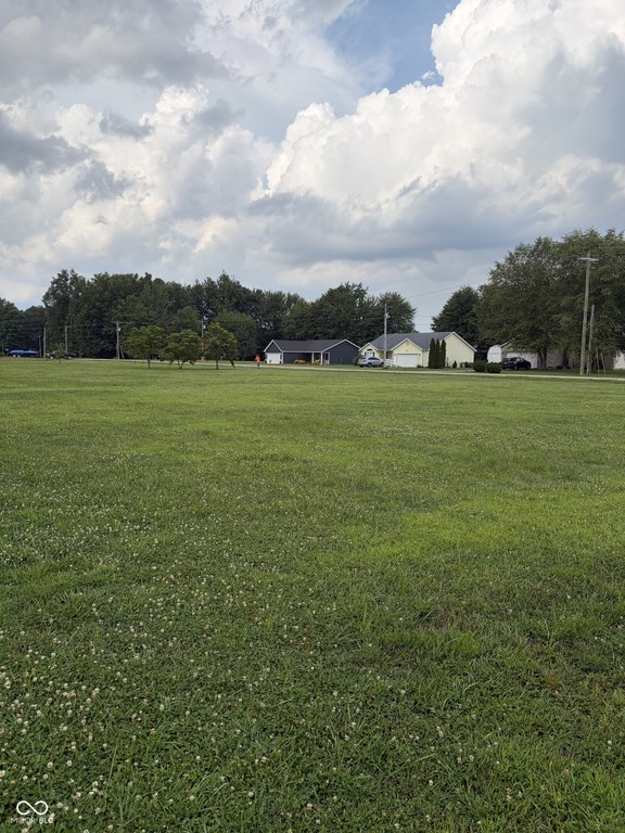 Picture 7