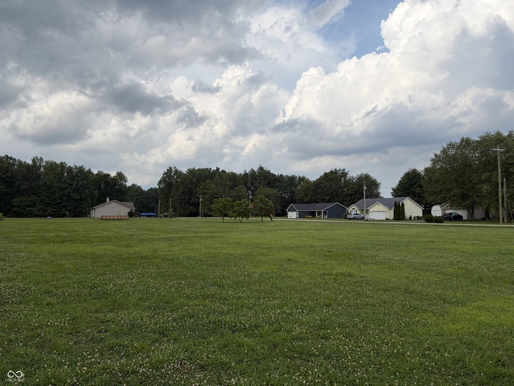 Picture 8