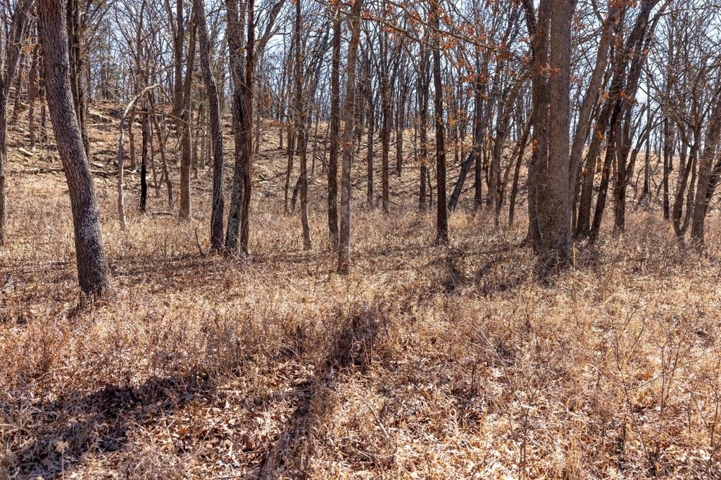 Picture 30