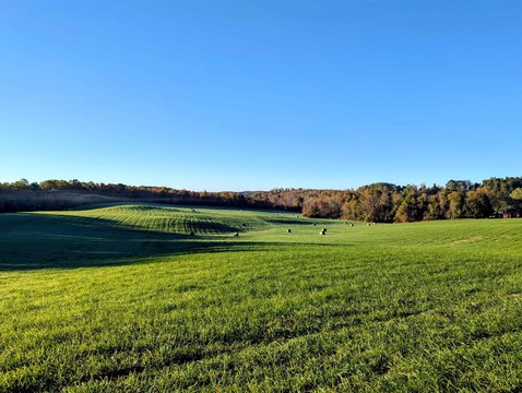 Pasture Land with Road Frontage