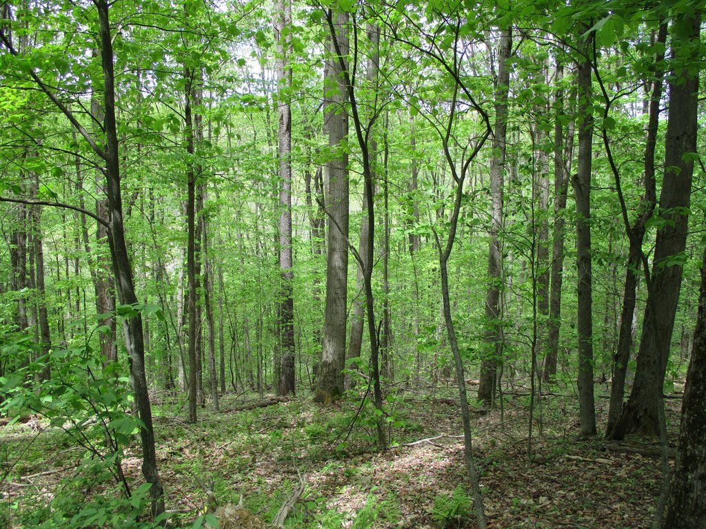 Picture 18