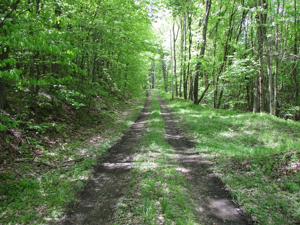 Picture 30
