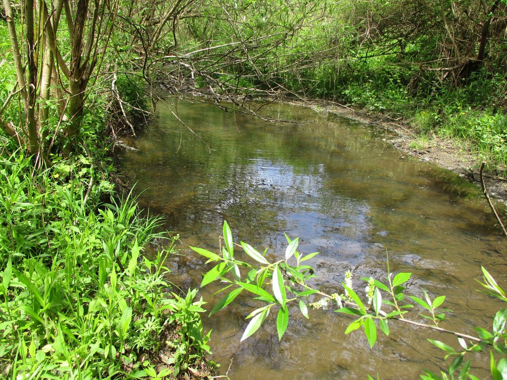 Picture 13