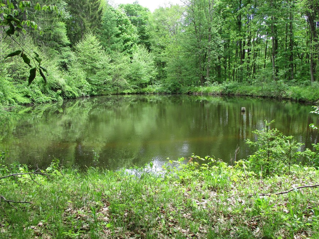 Picture 11