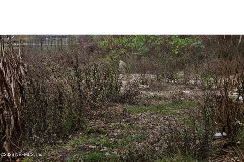 Residential Land in Jacksonville