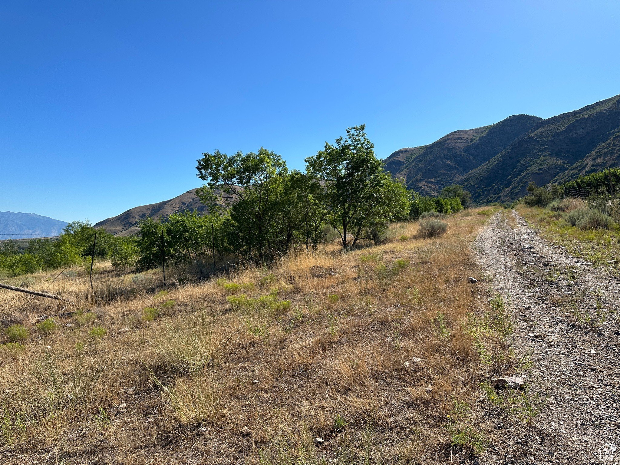 53 Acres in Santaquin, UT