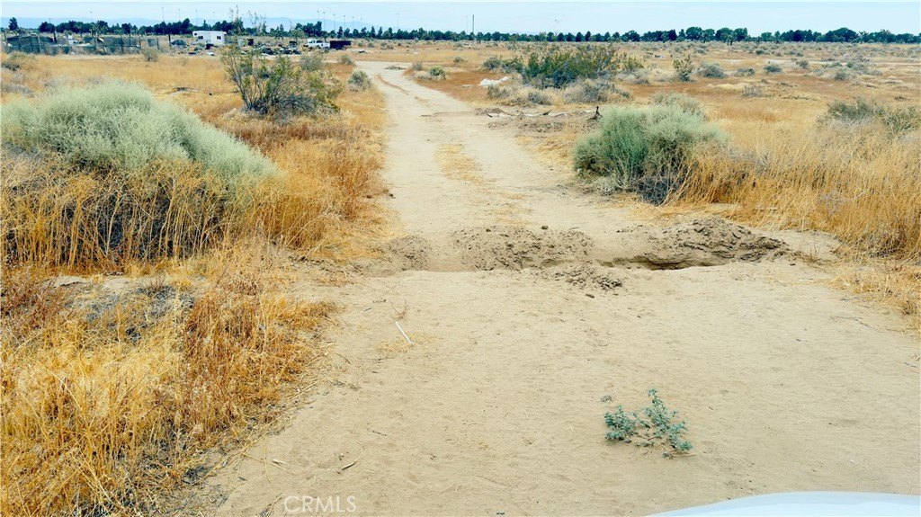 Picture 7