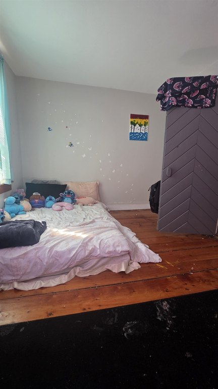 Picture 12
