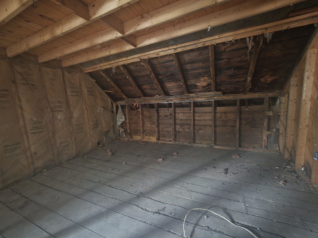 Picture 24