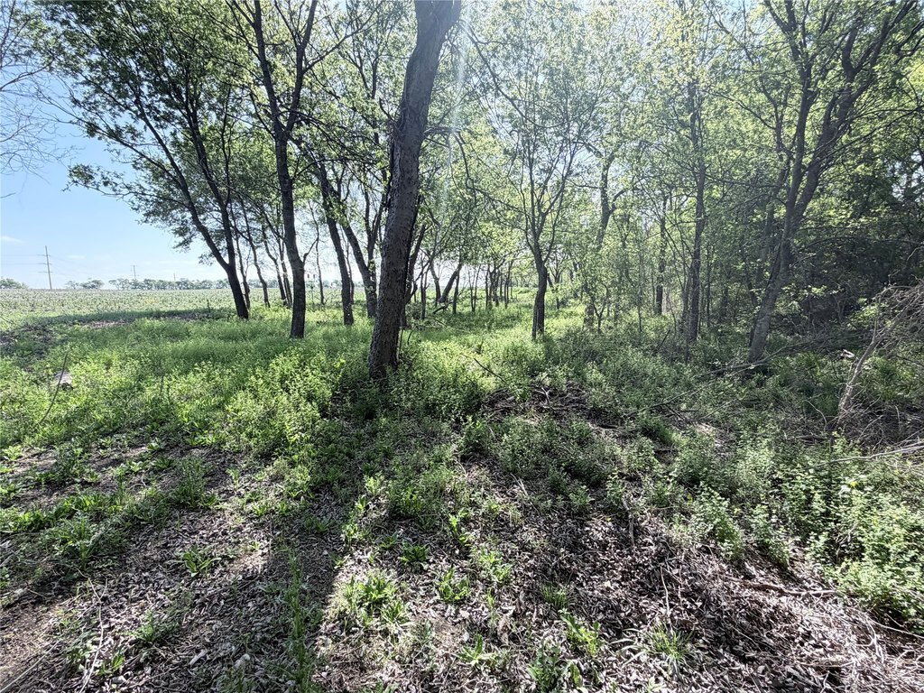 Picture 6