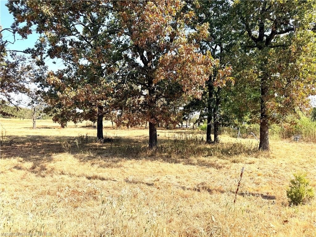 Picture 16