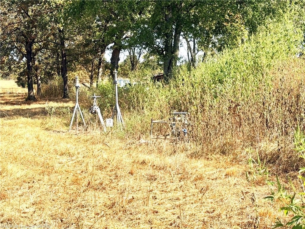 Picture 17