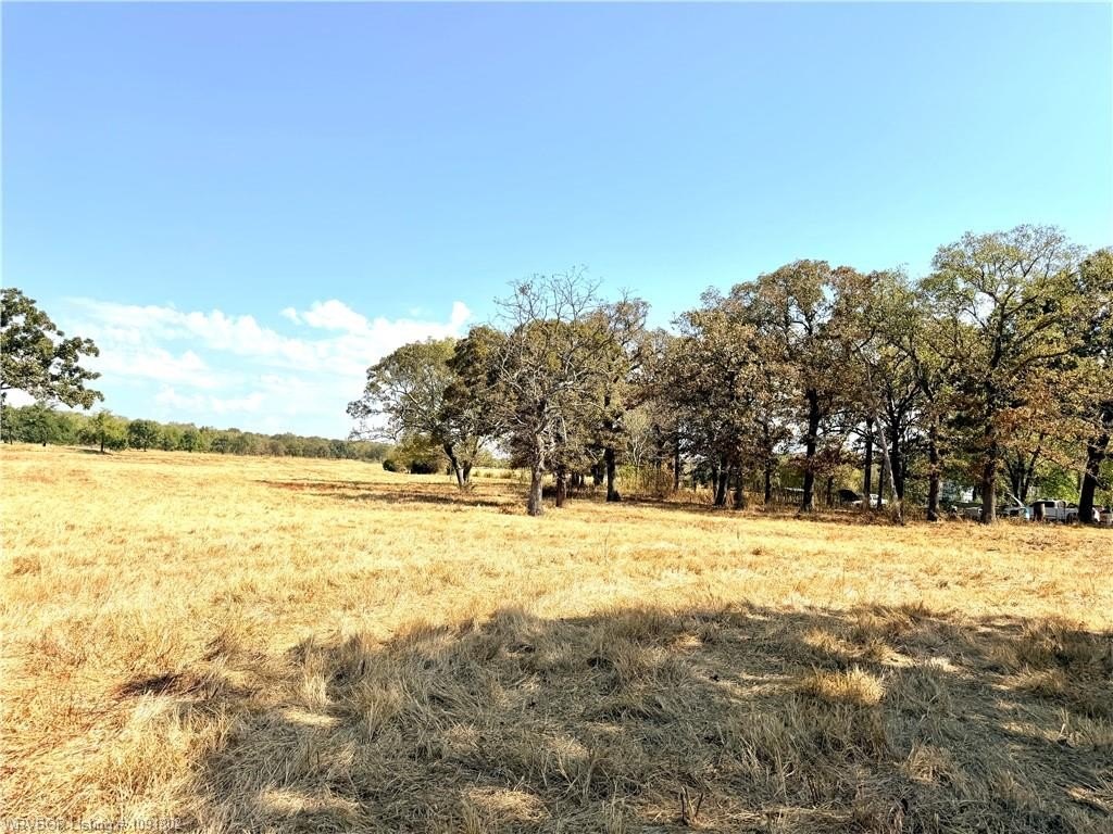 Picture 14