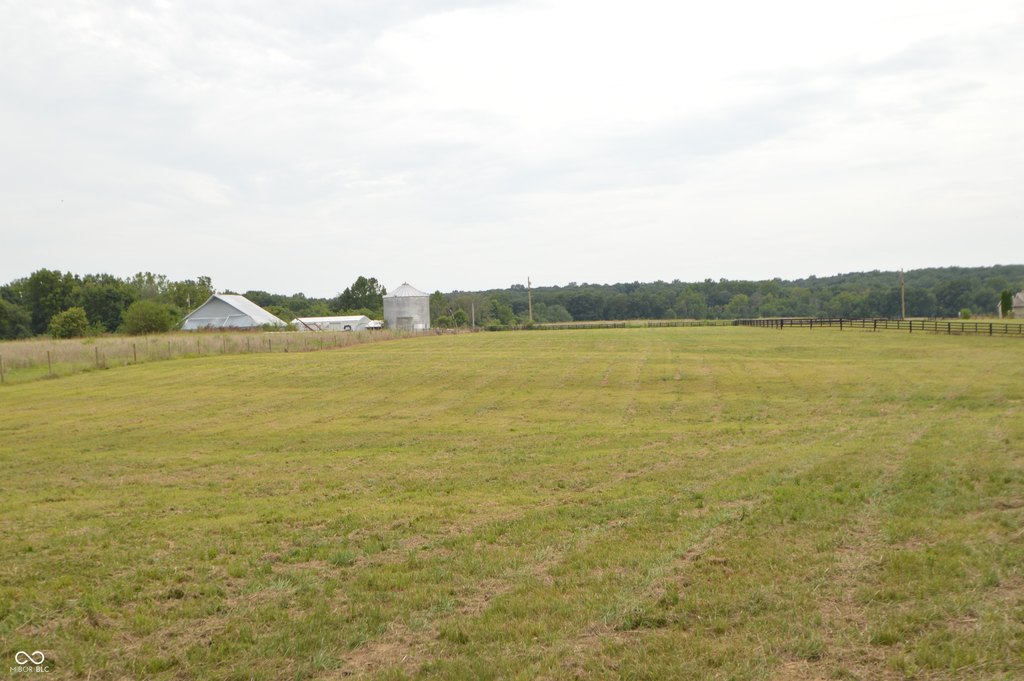 Picture 11