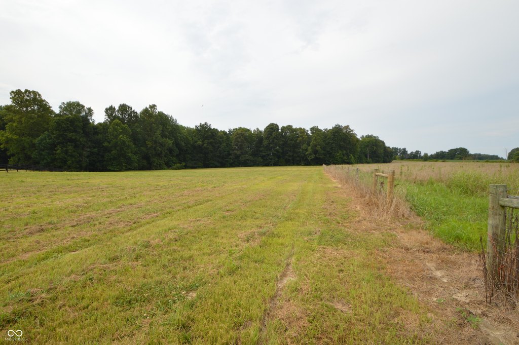 Picture 8