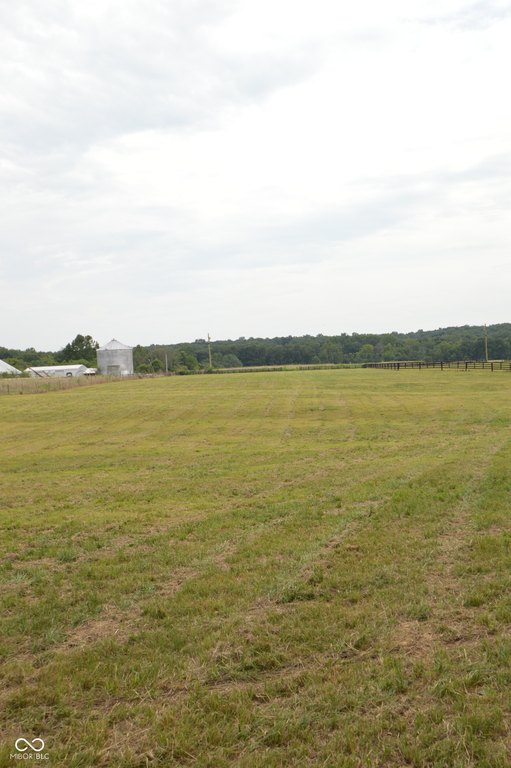 Picture 12