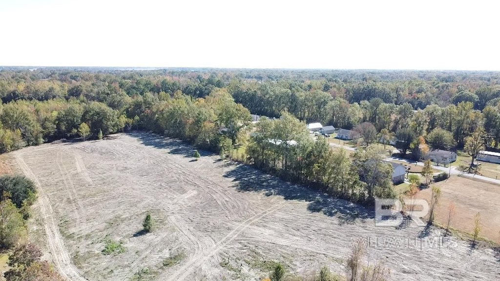 Picture 15