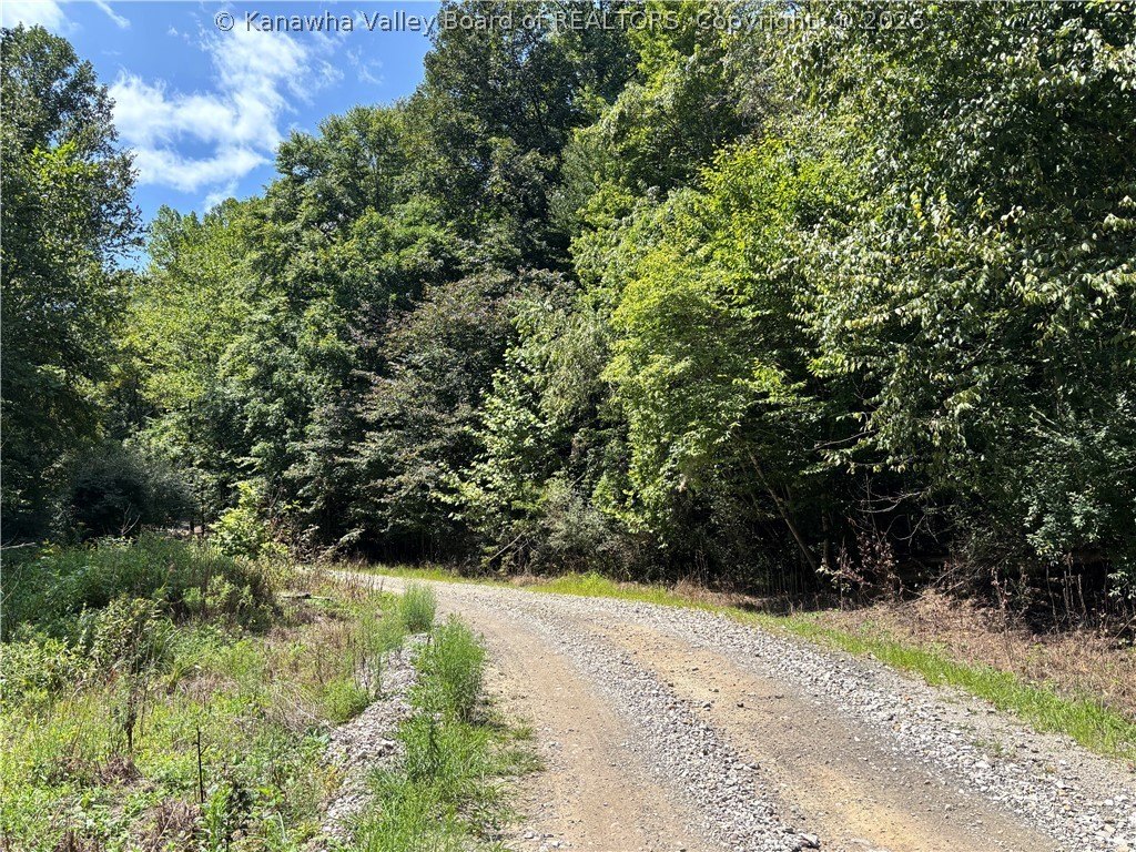 Picture 33