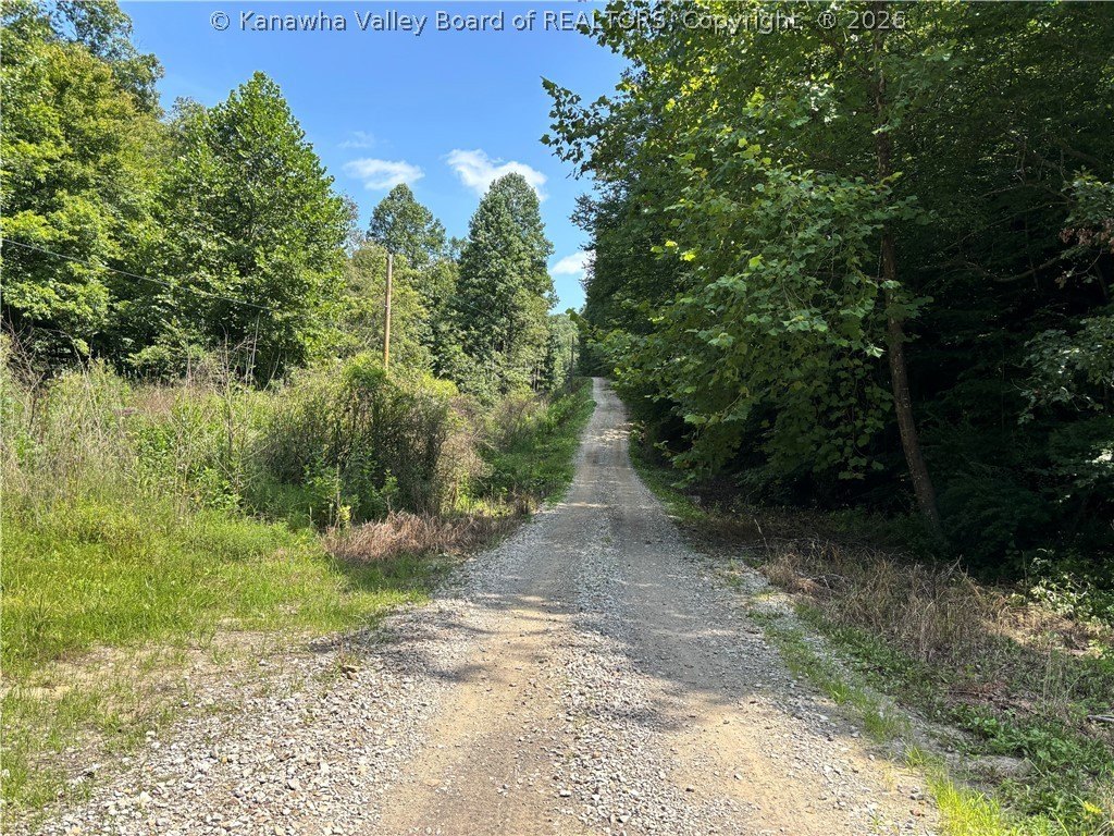 Picture 30