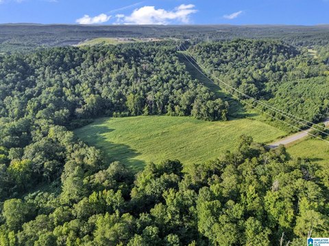 LAND/LOTS, WARRIOR, AL